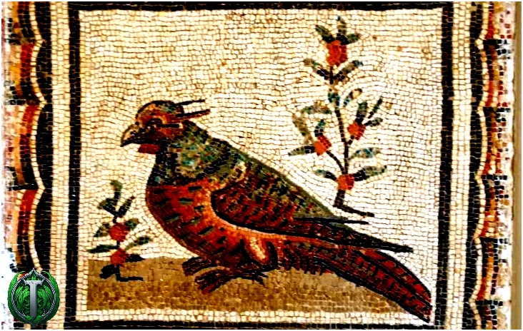 Мозаїка із зображенням птаха, який був популярним давньоримським домашнім улюбленцем.