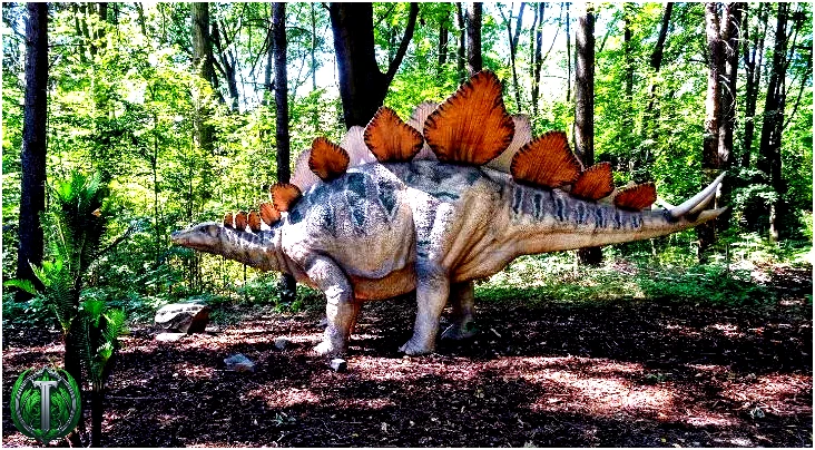 Динозавр стегозавр мав шипи вздовж хребта