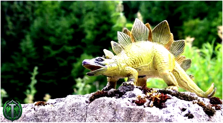 Вважається, що динозавр стегозавр їв каміння, щоб допомогти з травленням