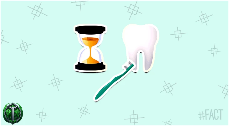 За своє життя ви витратите близько сімдесяти дев'яти днів на чищення зубів.