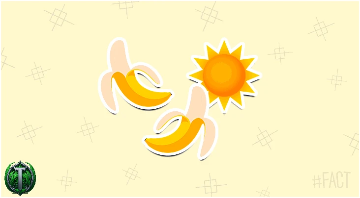 Банани вигнуті, бо ростуть до сонця.
