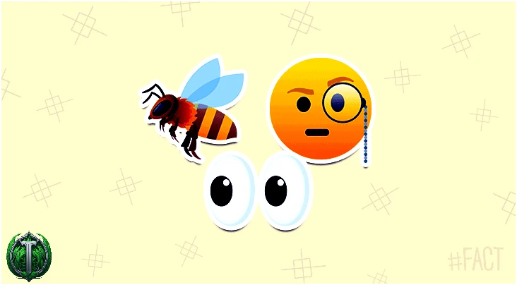 Медоносні бджоли можуть розпізнавати людські обличчя.