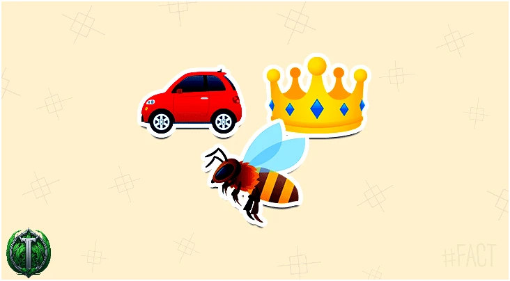 Рій з 20 000 бджіл два дні слідував за автомобілем, тому що їхня королева застрягла всередині.