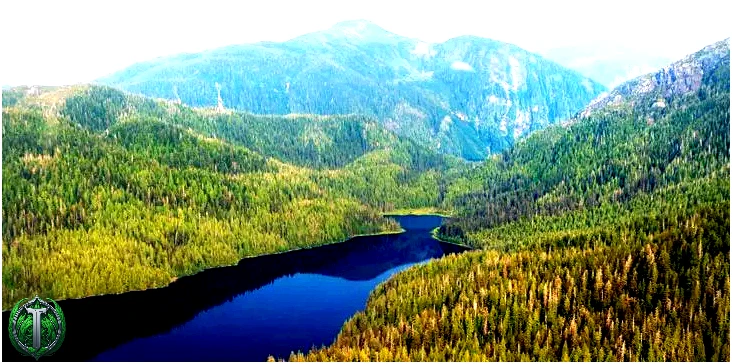 На Алясці знаходиться найбільший національний ліс у США.