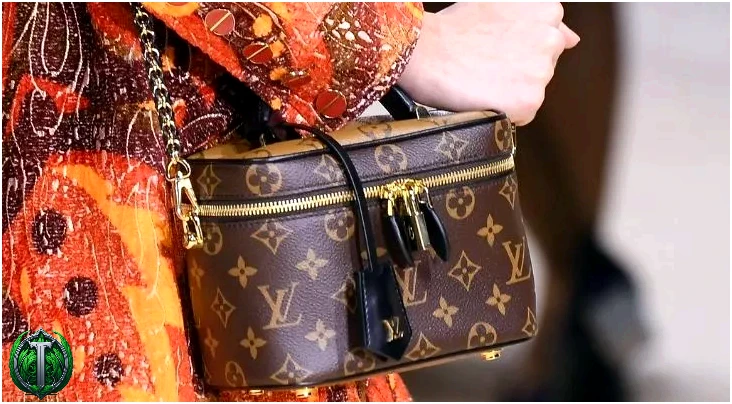 Хтось тримає в руках сумочку Louis Vuitton