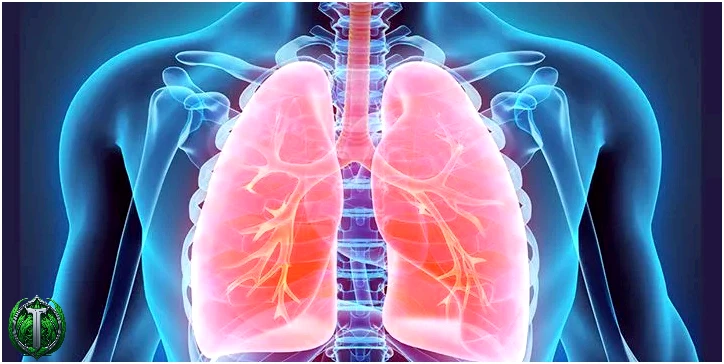 25 дивовижних фактів про ваші легені