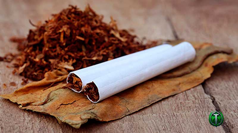 Як виростити тютюн для сигарет: Покрокове керівництво