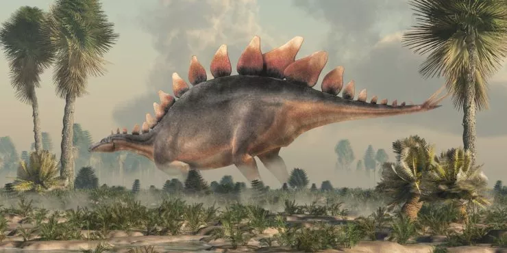 10 шокуючих фактів про стегозавра