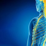 Как успокоить нервы и улучшить нервную систему