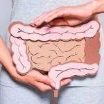 Шлунково-кишковий тракт: важливий орган, який часто не цінують
