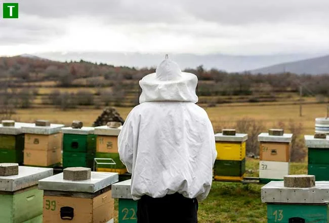 Пчеловодство фермеру