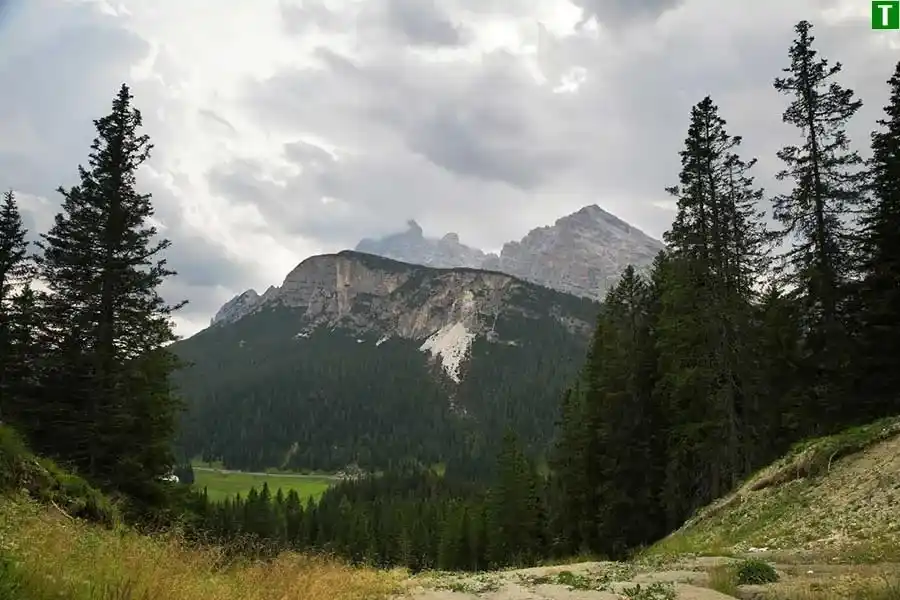 Карпати на смак