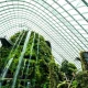 Системи вертикального озеленення в мегаполісах