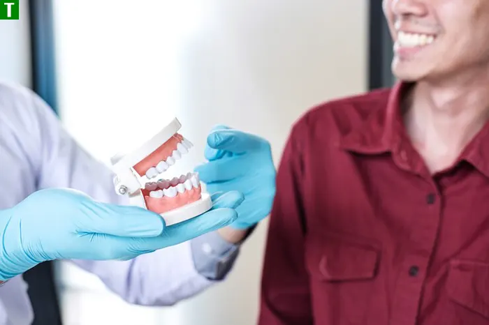 Лікар-стоматолог працює з моделлю щелепи, консультуючи пацієнта щодо методів протезування